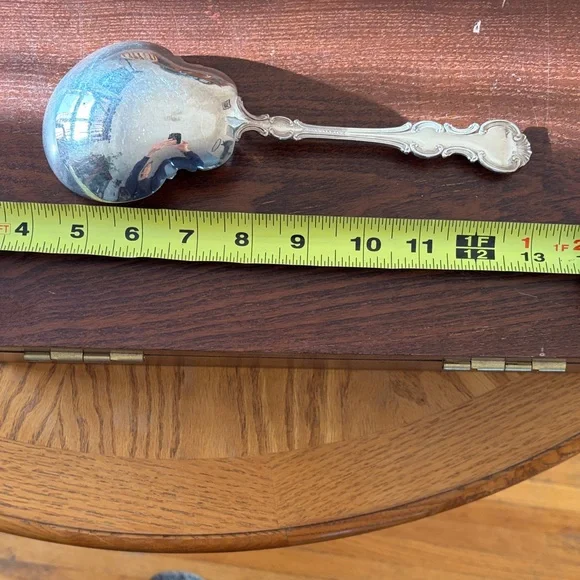 Elegant Silverplate Serving Spoon - Picture 7 of 7